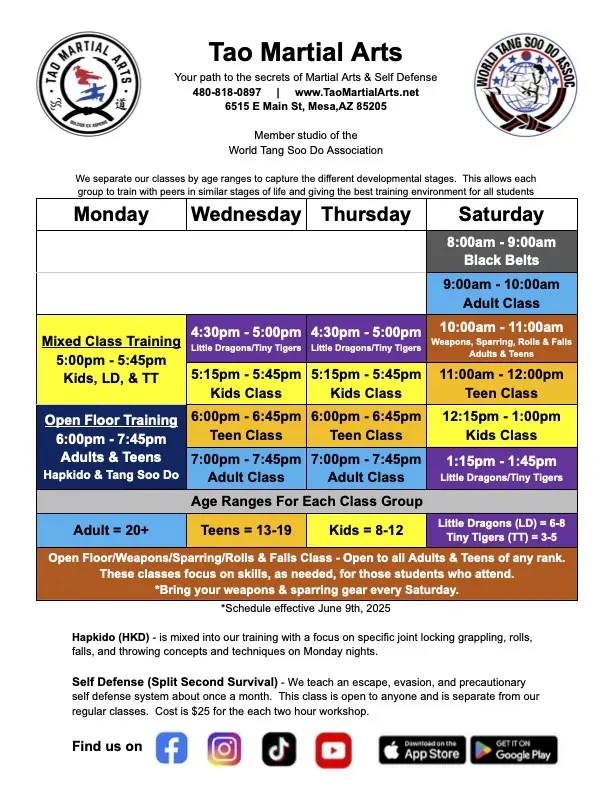 Martial Arts School | Tao Martial Arts in Mesa